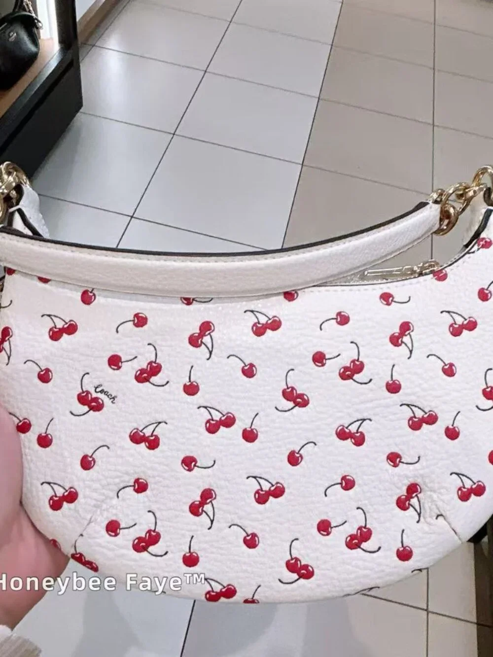 Mini Payton Bag With Cherry Print CFD04